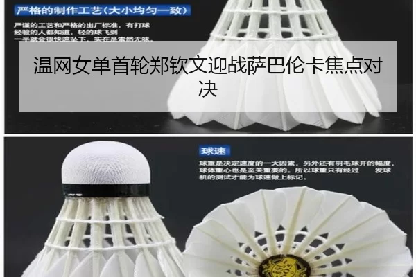 wen-wang-nv-dan-shou-lun-zheng-qin-wen-ying-zhan-sa-ba-lun-ka-jiao-dian-dui-jue-1-739.jpg